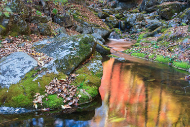 Similar image 474232