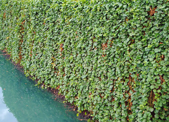 Similar image 474239