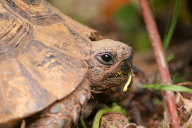 Similar image 474244