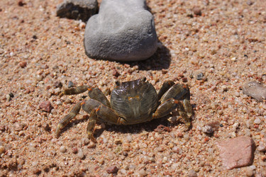 Similar image 474250