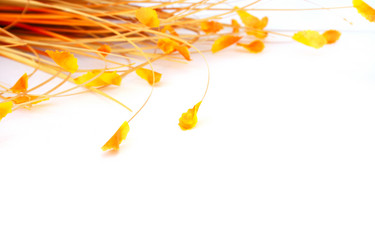 Similar image 474270