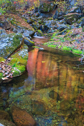 Similar image 474322