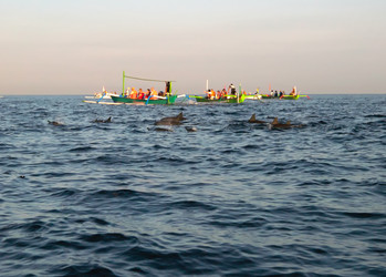 Similar image 474341