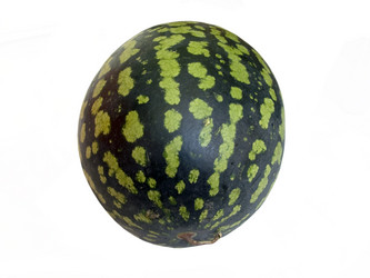 Similar image 474531