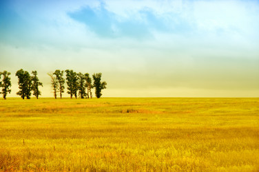 Similar image 474673