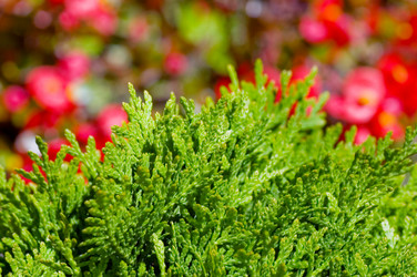 Similar image 474720