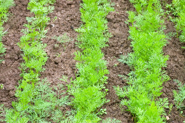 Similar image 474722