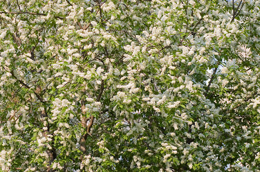 Similar image 474728