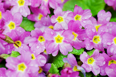 Similar image 474736