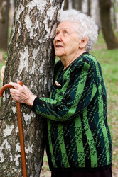 Similar image 474822