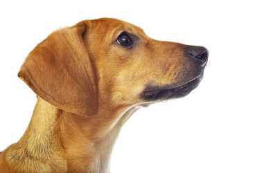 Similar image 474832