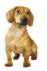 Similar image 474838