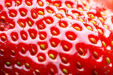 Similar image 474845