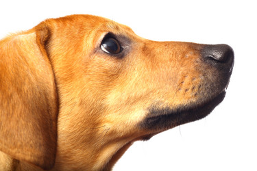 Similar image 474850