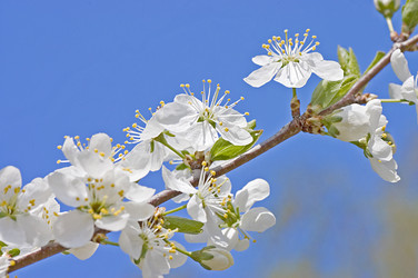 Similar image 474872