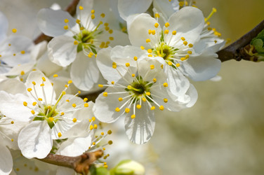 Similar image 474878