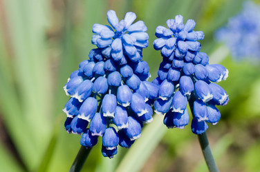 Similar image 474889