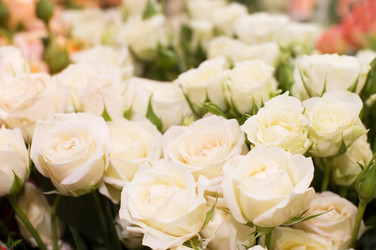 Similar image 474894