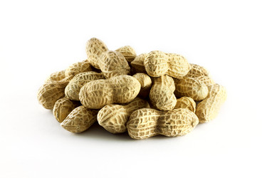 Similar image 474904