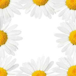 Similar image 474924