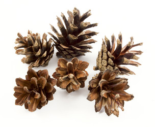 Similar image 474975