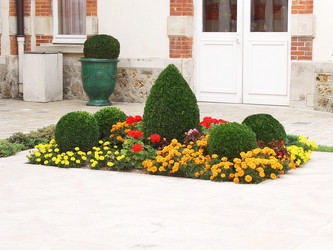 Similar image 474995