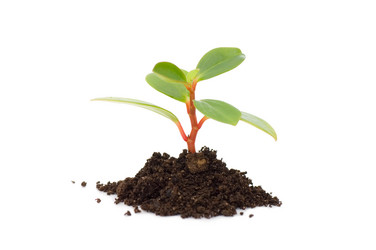 Similar image 474996