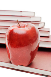 Similar image 475044