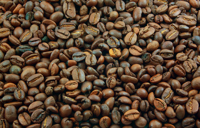 Similar image 475045