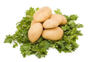 Similar image 475098