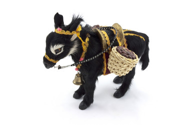 Similar image 475147