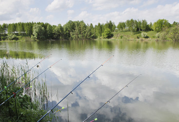 Similar image 475202