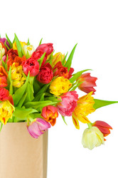 Similar image 475230