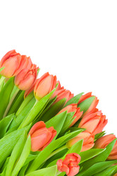 Similar image 475235