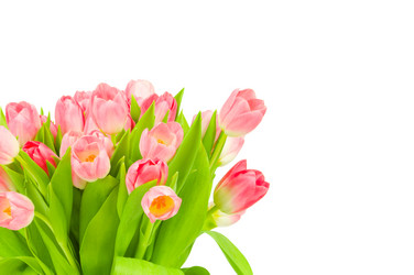 Similar image 475237