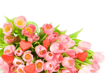 Similar image 475240