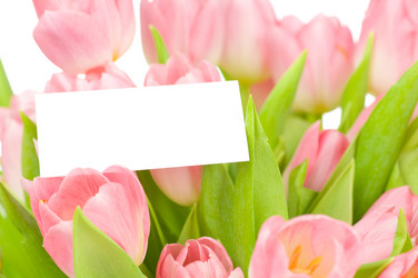 Similar image 475241