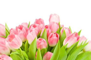 Similar image 475244