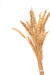 Similar image 475258