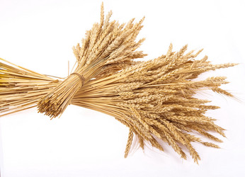 Similar image 475259