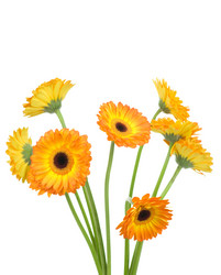 Similar image 475288