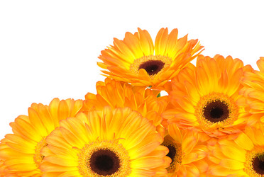 Similar image 475291