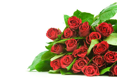 Similar image 475307