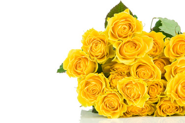 Similar image 475393