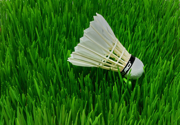 Similar image 475403