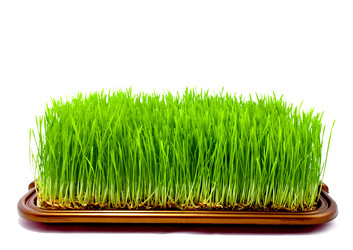 Similar image 475414