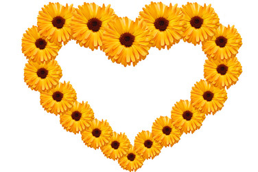 Similar image 475456