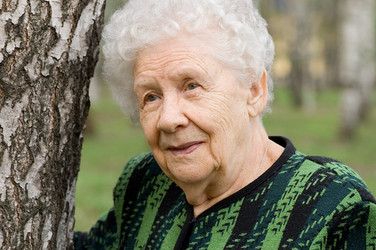 Similar image 475459