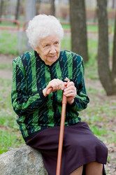 Similar image 475464