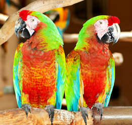 Similar image 475482